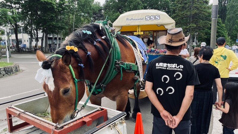 北18条のロータリーの馬車
